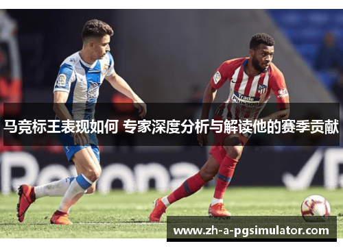 马竞标王表现如何 专家深度分析与解读他的赛季贡献